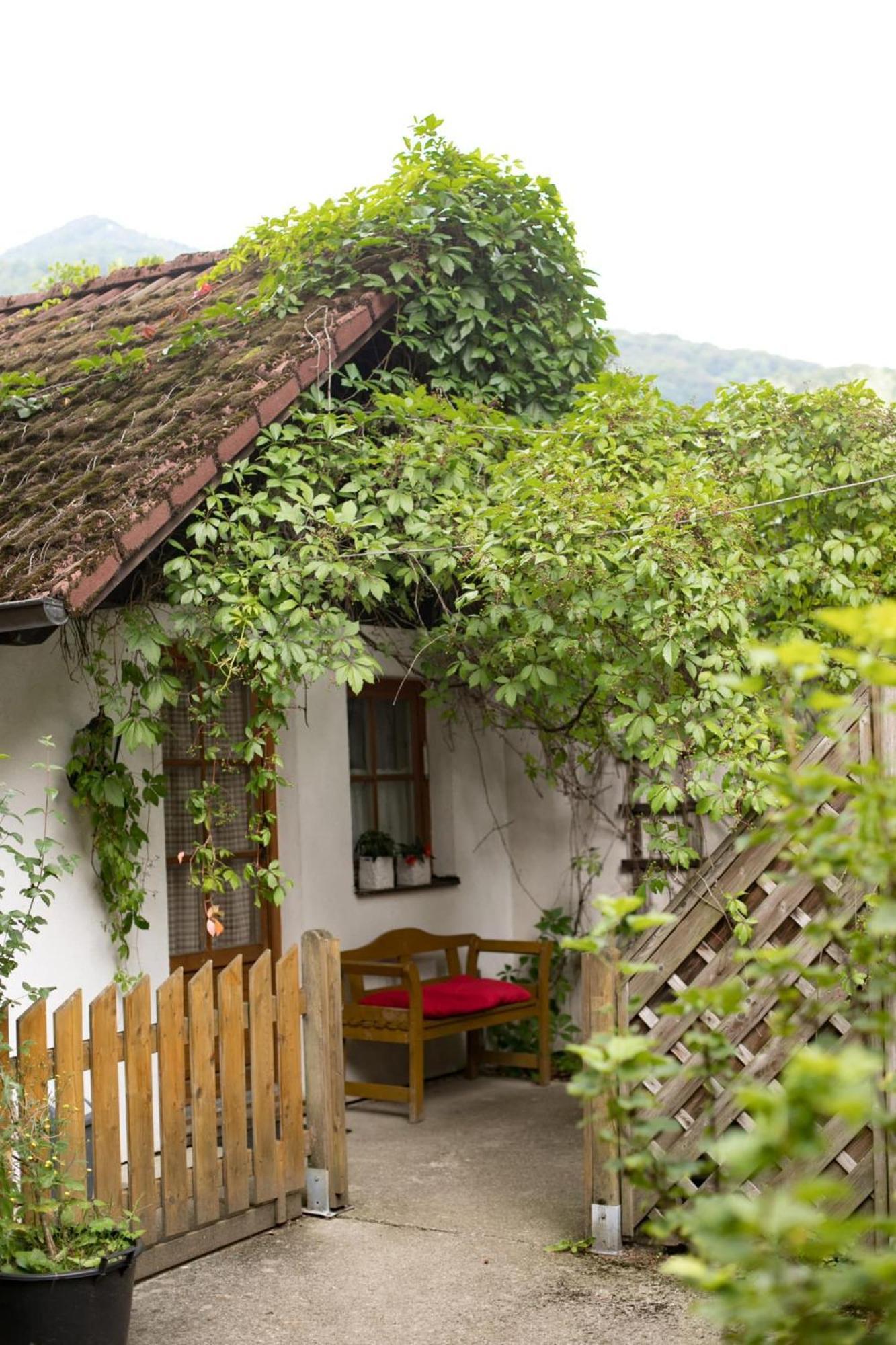 Hotel Steinschalerhof à Warth  Extérieur photo