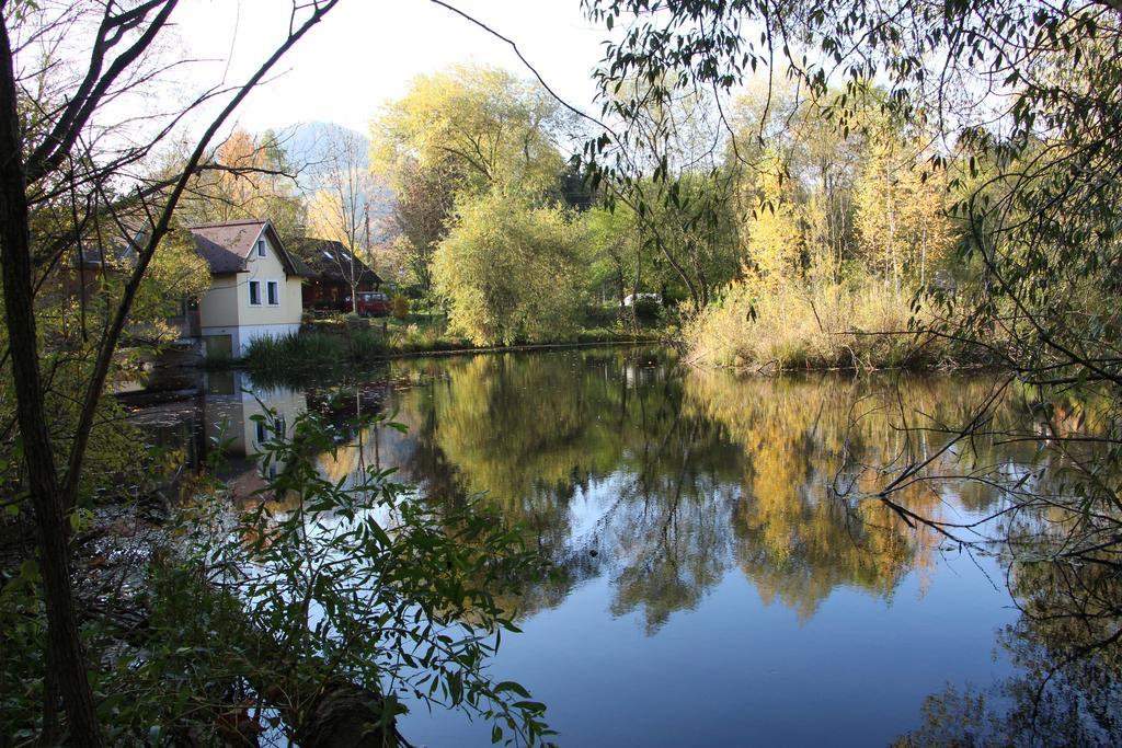 Hotel Steinschalerhof à Warth  Extérieur photo