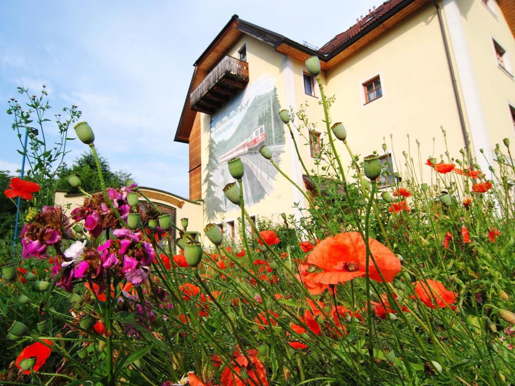 Hotel Steinschalerhof à Warth  Extérieur photo